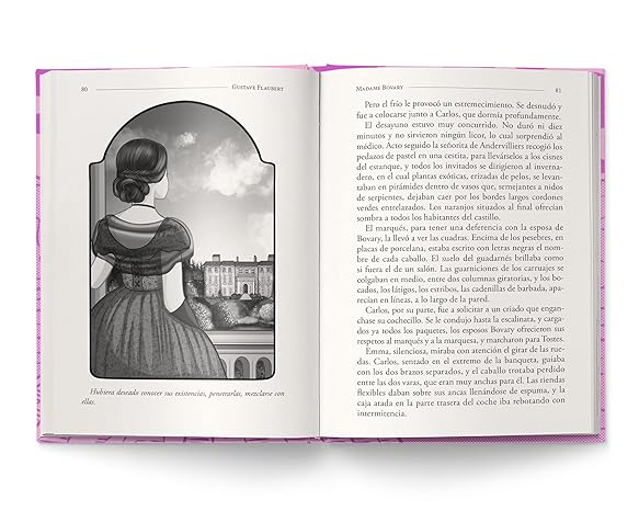 Madame Bovary (Platino Clásicos Ilustrados) - Gustave Flaubert